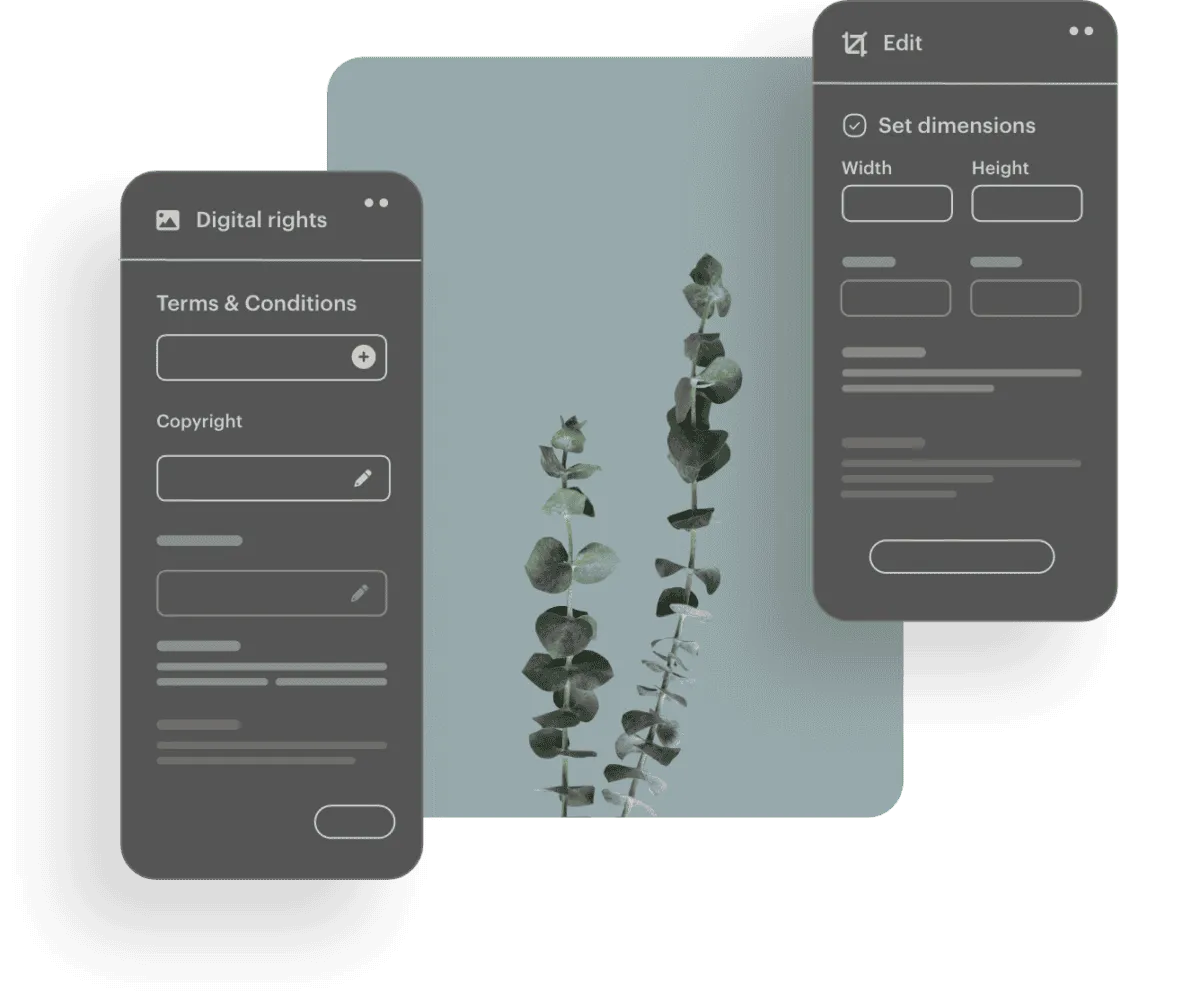 Kontainer_brand_platform_2