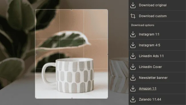 Download Templates_banner-3 Custom download options in Kontainer
